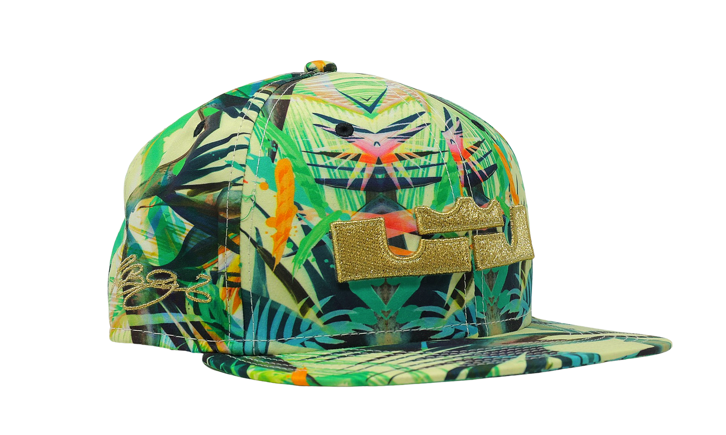 Nike x Lebron James Celebration Pack Snap Back Hat (635997-353) Size OS