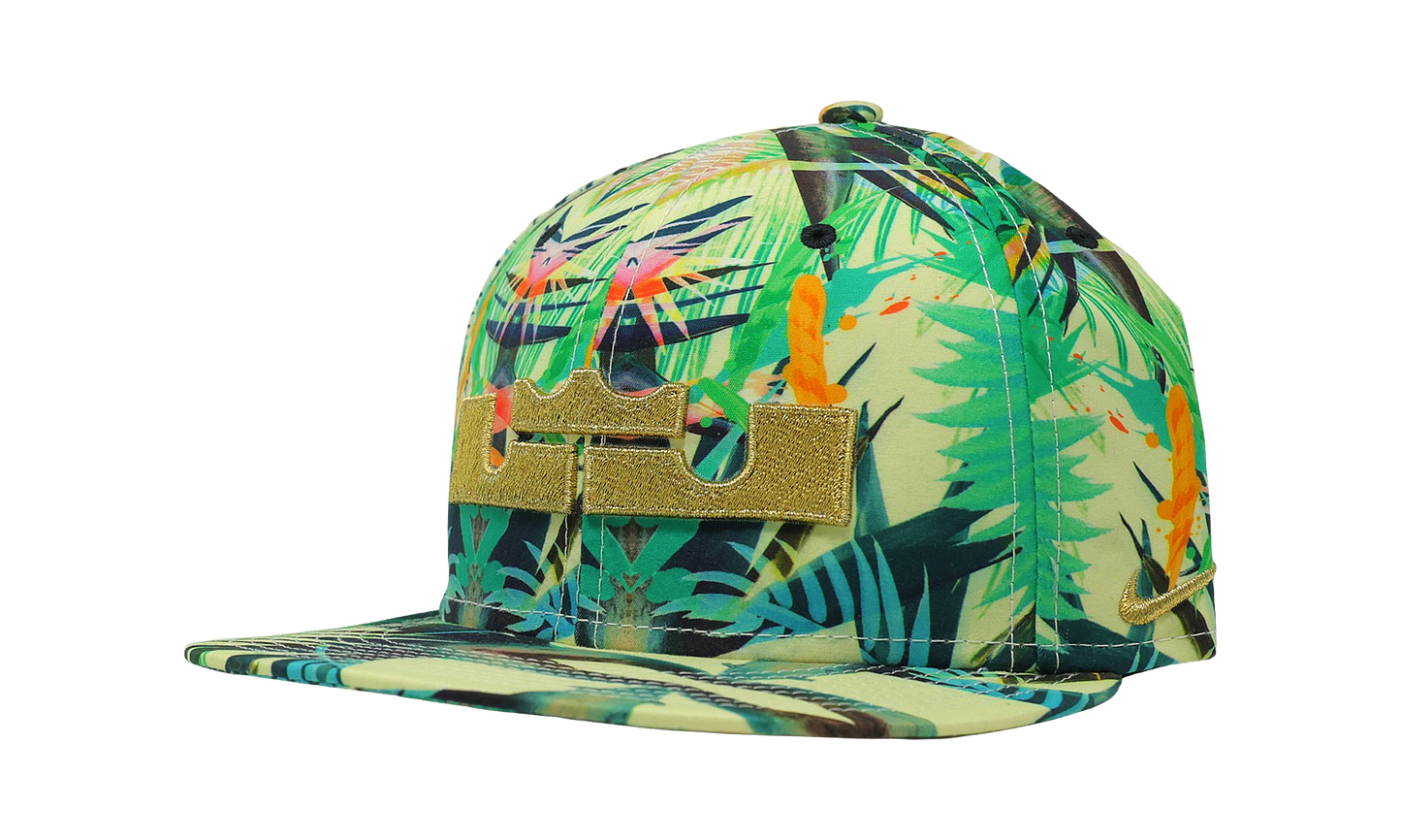 Nike x Lebron James Celebration Pack Snap Back Hat (635997-353) Size OS