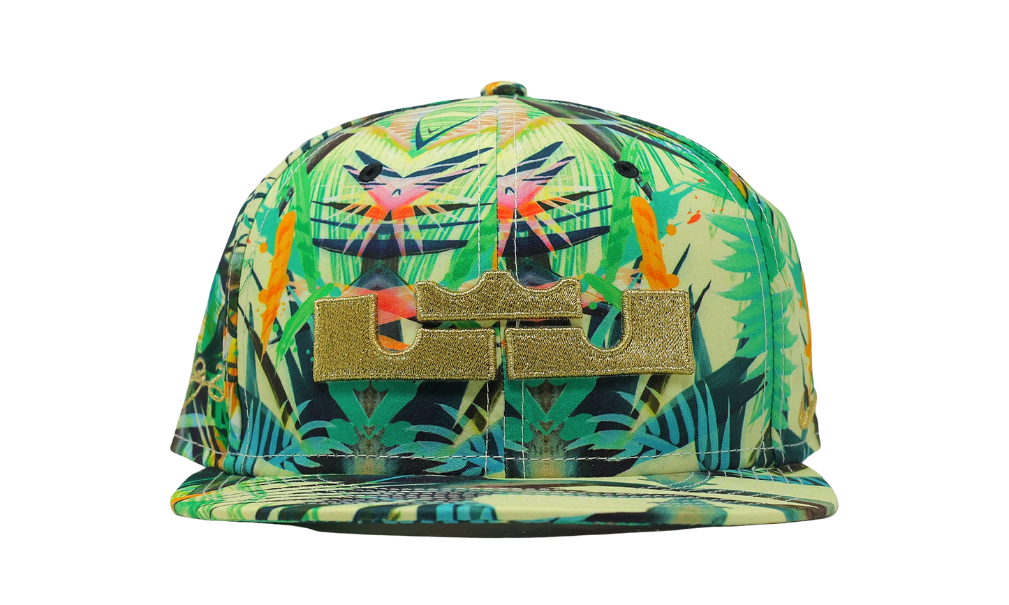 Nike x Lebron James Celebration Pack Snap Back Hat (635997-353) Size OS