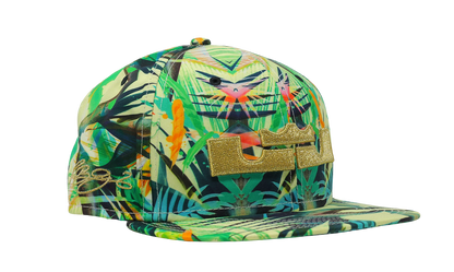 Nike x Lebron James Celebration Pack Snap Back Hat (635997-353) Size OS