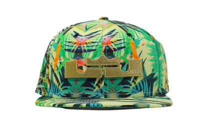 Nike x Lebron James Celebration Pack Snap Back Hat (635997-353) Size OS