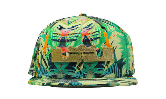 Nike x Lebron James Celebration Pack Snap Back Hat (635997-353) Size OS