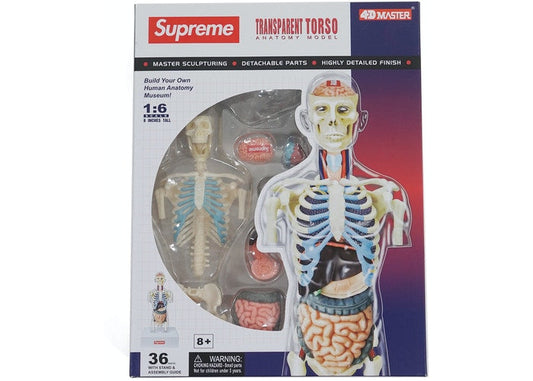Supreme Male/Female Anatomy Model Clear FW18 (FW18A7) One Size