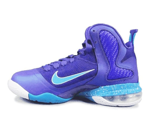 Nike Lebron 9 Hornets
